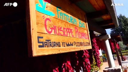 Cresce l'agriturismo, nelle feste spinge economia dei borghi