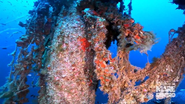 Mare dentro per raccontare la storia della Golfo di Patti , conosciuta come Cariddi 2