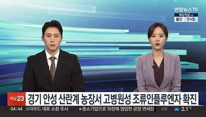 Descargar video: 경기 안성 산란계 농장서 고병원성 조류인플루엔자 확진