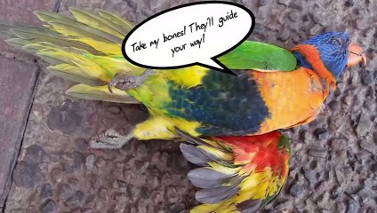 Funhaus Play Day One  Garry's Incident