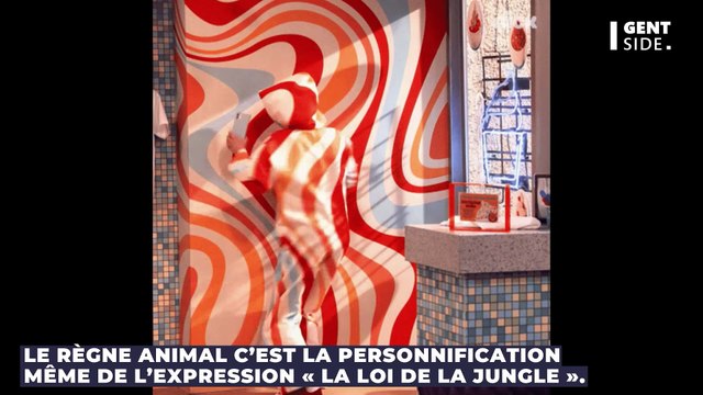 Ces animaux possèdent des techniques incroyables pour échapper aux prédateurs