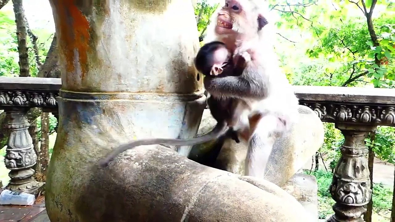 Old Mama Barry Worries about Loosing Of Baby Bean (720p_25fps_H264-192kbit_AAC)