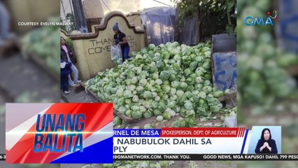 Panayam kay Arnel de Mesa, Spokesperson, Dept. of Agriculture (January 10, 2024) | UB