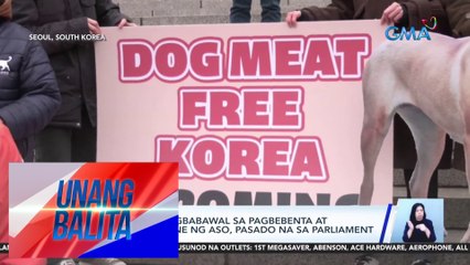 Panukalang nagbabawal sa pagbebenta at pagkain ng karne ng aso, pasado na sa parliament | UB