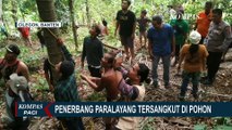 Penerbang Paralayang Cilegon Tersangkut di Pohon Setinggi 20 Meter