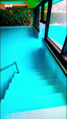 Can One Melody Change Your Life? This One Did for Millions | Choudhar Jaat Ki #millionair #royal