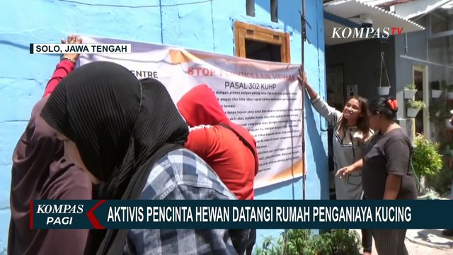 Aktivis Pecinta Hewan Datangi Rumah Pelaku Penganiayaan Kucing di Solo