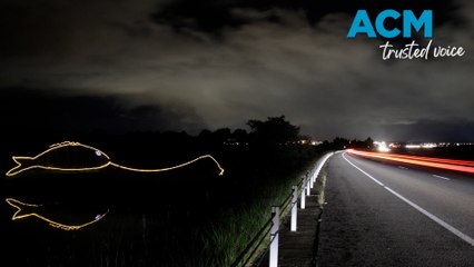 Meet Albert: Canberra's 'Big Fish' tourist attraction