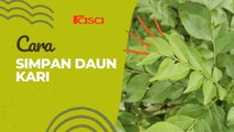 Cara Simpan Daun Kari