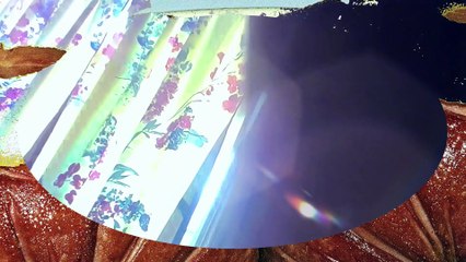 Walking around apartment and at pantry 7 14 23 l Cyberlink.compressed