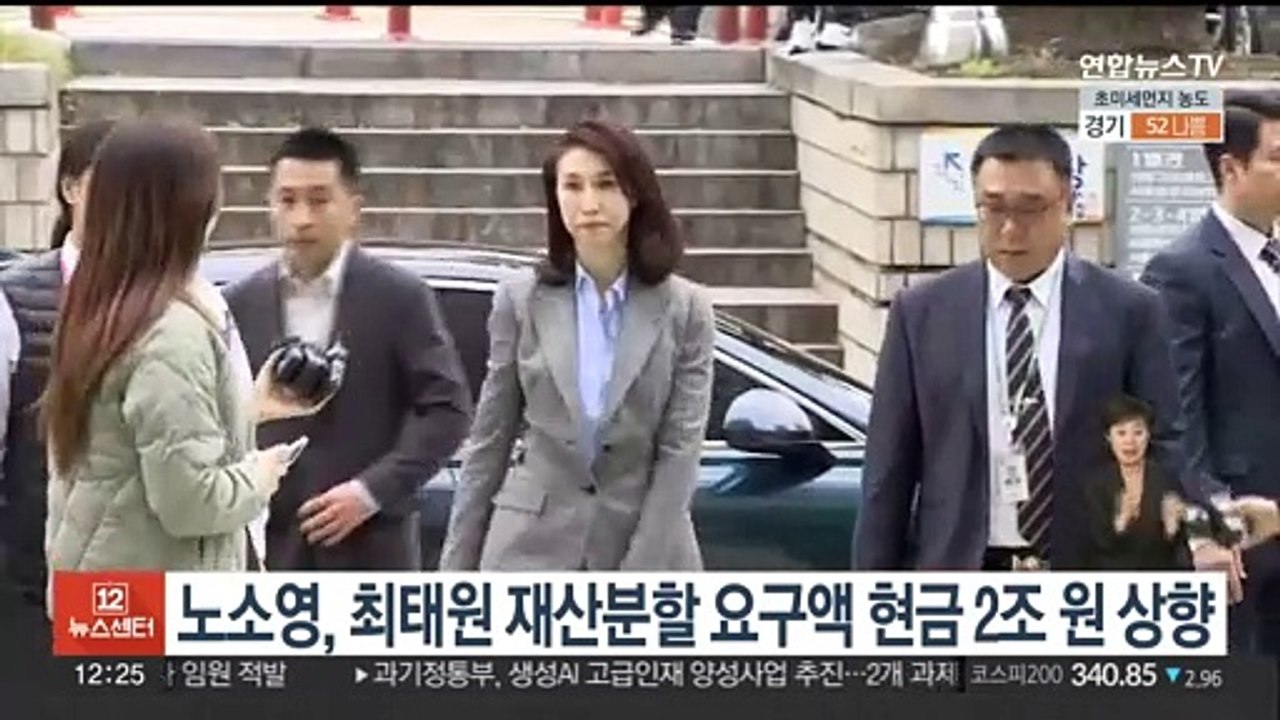 노소영, 최태원 재산분할 요구액 '현금 2조원'으로 상향