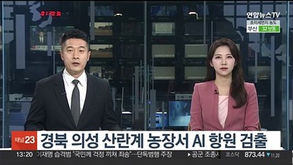경북 의성 산란계 농장서 AI 항원 검출