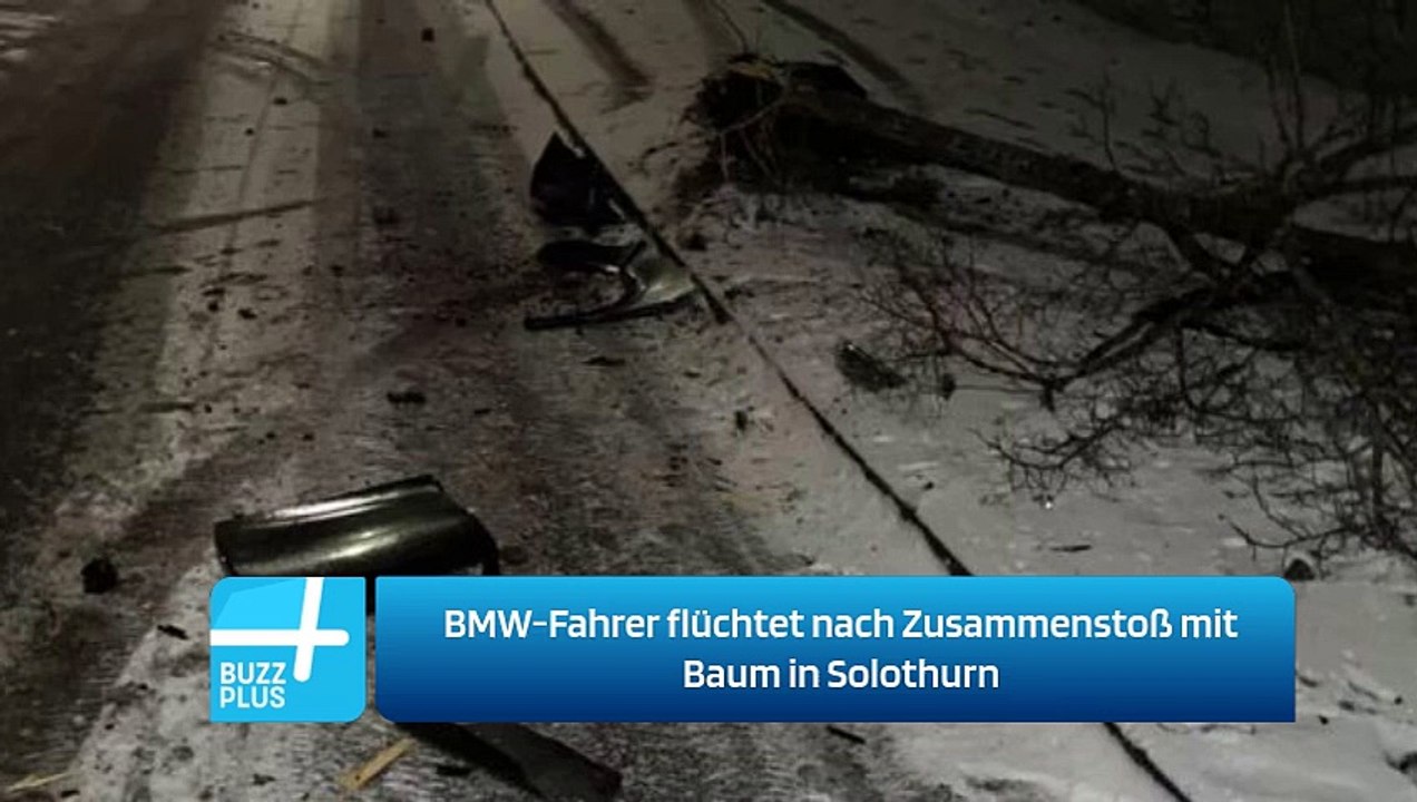 BMW-Fahrer flüchtet nach Zusammenstoß mit Baum in Solothurn