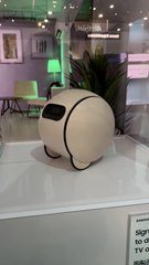 On a vu Ballie, le robot de Samsung qui projette de l’IA sur les murs