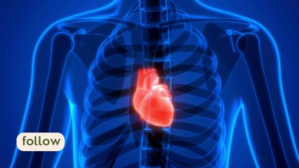 Heart insdide body amazing