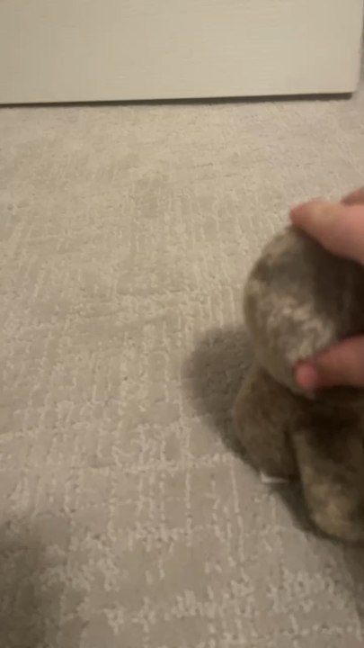 Plush vid