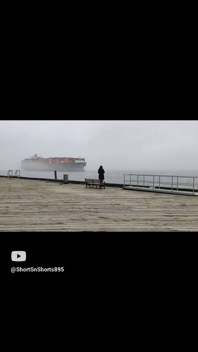 Cargo  Ship  Sounding Their horn before   Leaving Port ⚓ #shorts895