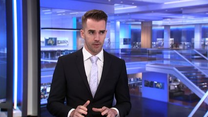 Legal Victory for Logging Operations in NSW After Court Ruling 🌳