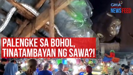 Palengke sa Bohol, tinatambayan ng sawa?! | GMA Integrated Newsfeed