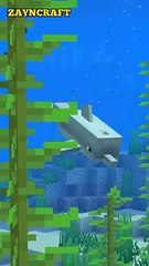 Minecraft Animations #42