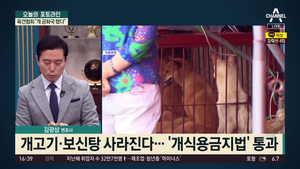 ‘개식용금지법’ 국회 통과…개농장 50만 마리 운명은?