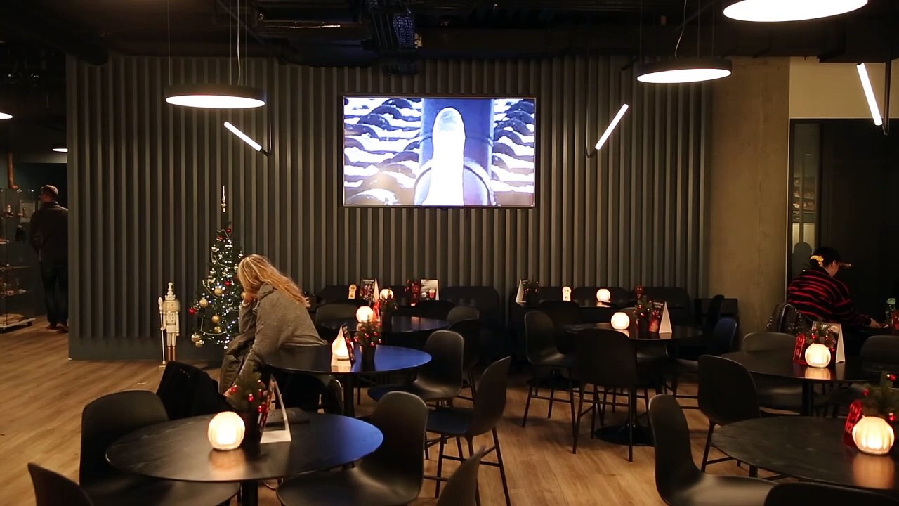 Islande Reykjavik Musée du pénis