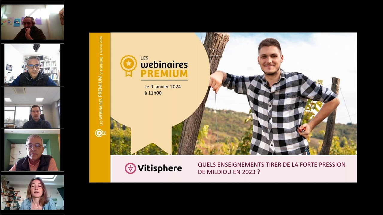 Quels enseignements tirer de la forte pression mildiou en 2023 ?