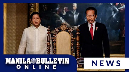 PH, Indonesia agree to bolster political, security ties