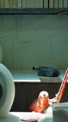 Pulvis Art Urns - From Creation to Transformation