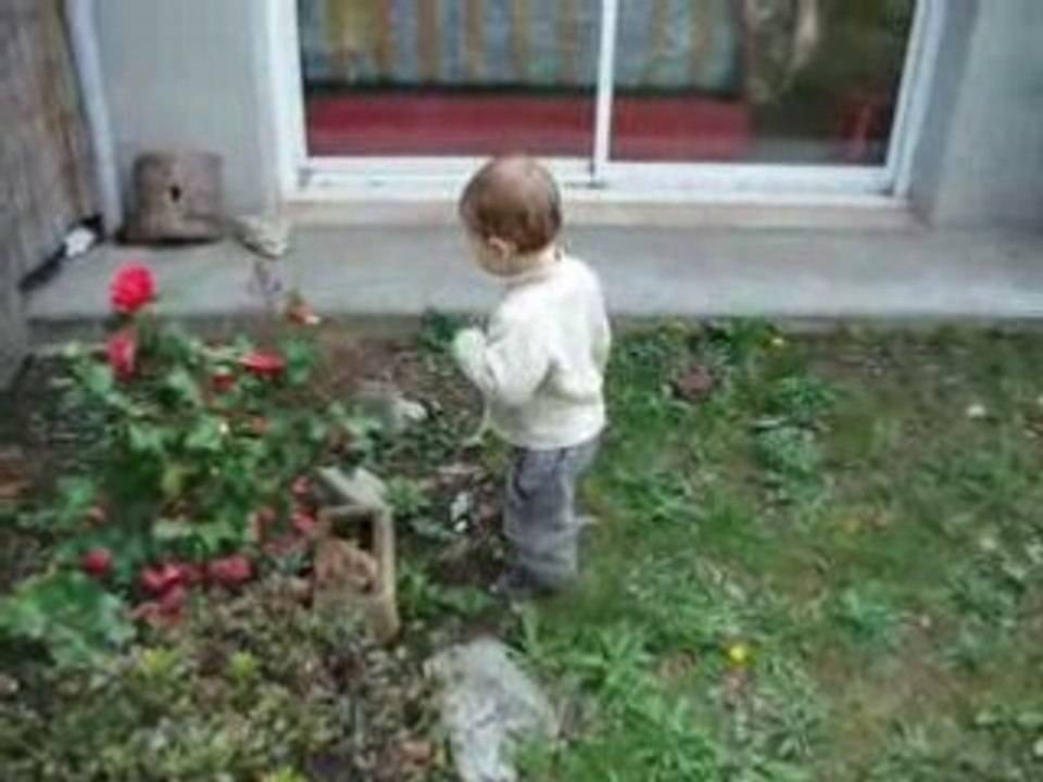 Dans le jardin