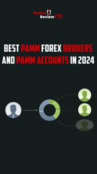 Best PAMM Forex brokers and PAMM accounts in 2024