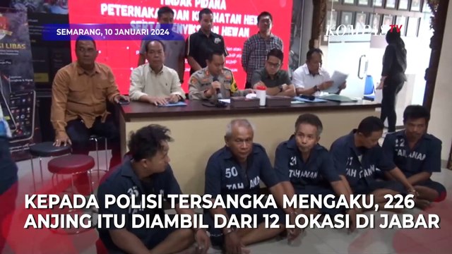 Tampang Penyelundup 226 Anjing yang Tertangkap di Semarang Mengaku Puluhan Tahun Beroperasi