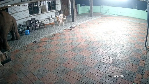 கோவையில் இரவு நேரத்தில் பூட்டிய வீடுகளை உடைத்து பொருட்களை சேதப்படுத்தும் யானைகள் - உயிர் பயத்தில் மக்கள்