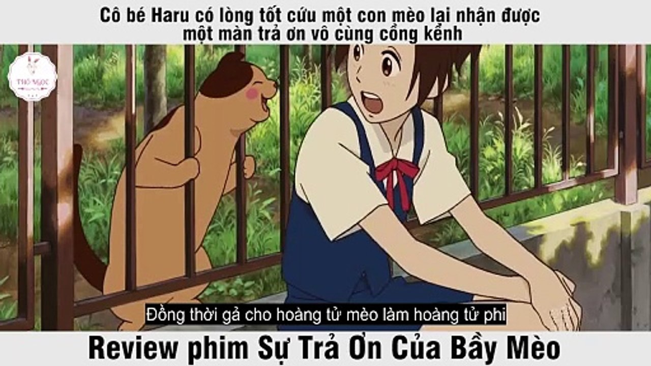 Sự Trả Ơn Của Bầy Mèo - Video Dailymotion