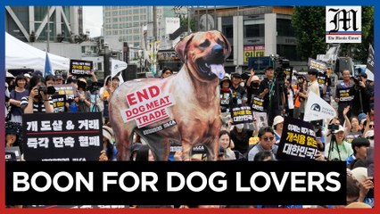 South Korea bans production and sale of dog meat