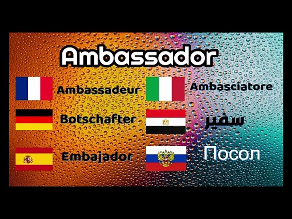 Ambassador