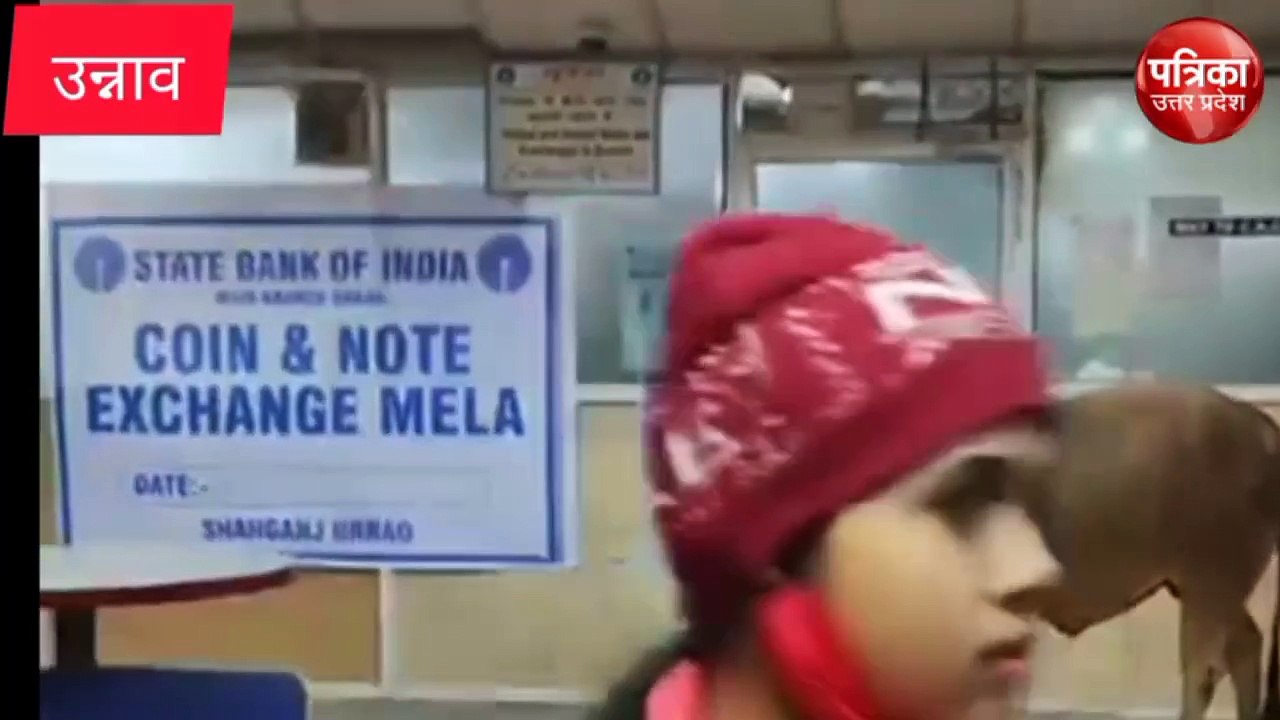 Video: स्टेट बैंक की शाखा में घुसा सांड, मची अफरातफरी