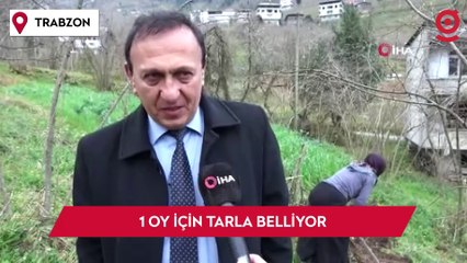 Bağımsız aday 1 oy için tarla belliyor