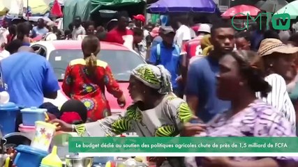 [#Reportage] Le budget dédié au soutient des politiques agricoles chute de près de 1,5milliard de FCFA