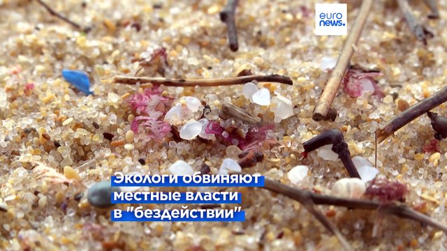 Испанские экологи обвиняют власти в бездействие