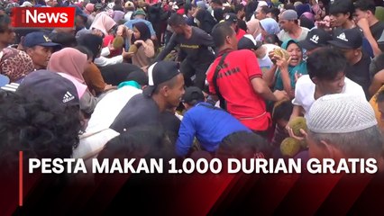 Antusias Warga Serbu Pesta Makan Durian Gratis di Desa Nangka Bangka Selatan