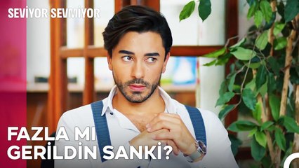 Her Şey Usule Uygun Olmalı - Seviyor Sevmiyor