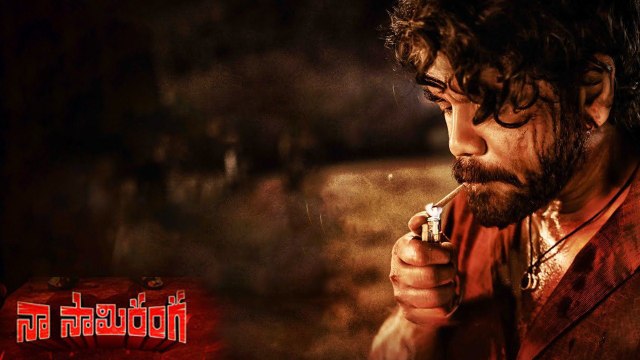 Naa Saami Ranga Business గట్టిపోటి ఎదుర్కొని లాభాల్లోకి రావాలంటే | Telugu Oneindia