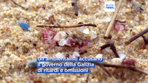 Spagna, plastica su coste Galizia: pericolo per mare e umani, dicono gli ambientalisti