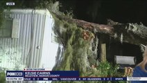 Family ‘lucky to be alive’ after tree crashes through bedroom roof in Florida storm