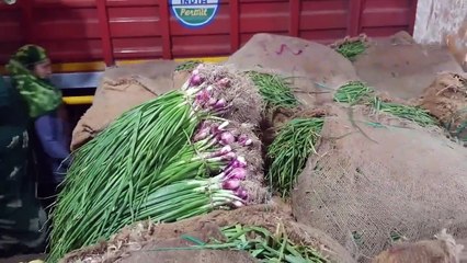 Rakesh Rajdev Guide Ahmedabad Wholesale Vegetable Market