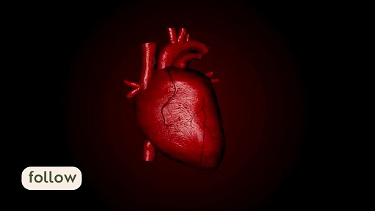 Read Heart beat show