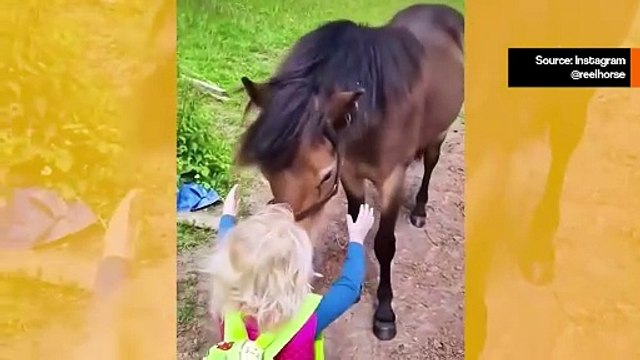 Suloiset videot näyttävät lasten ja hevosten hellän suhteen