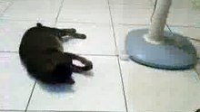 VID_20140808_215356