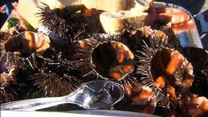 Anthony Bicchierai sur les fêtes de la mer 2024 à Sausset